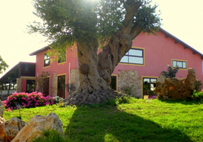 Agriturismo Il Ranch